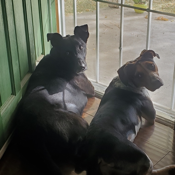 Meet your Posher, Christina - Picture 6 of 16